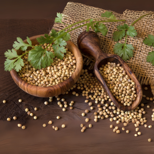 Coriander Seeds