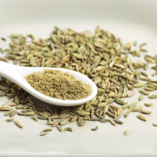 Fennel Powder