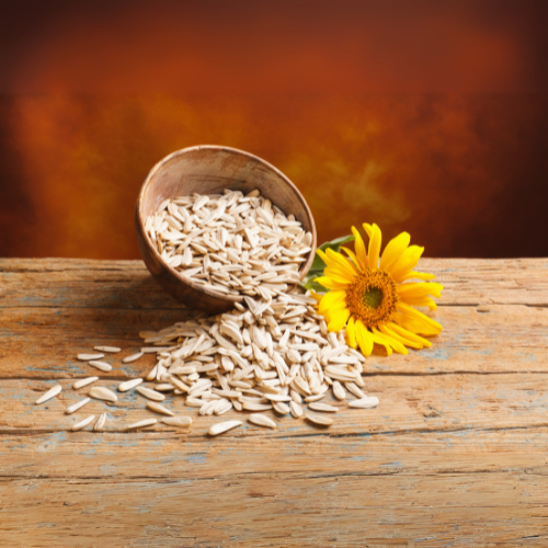Sunflower Seed